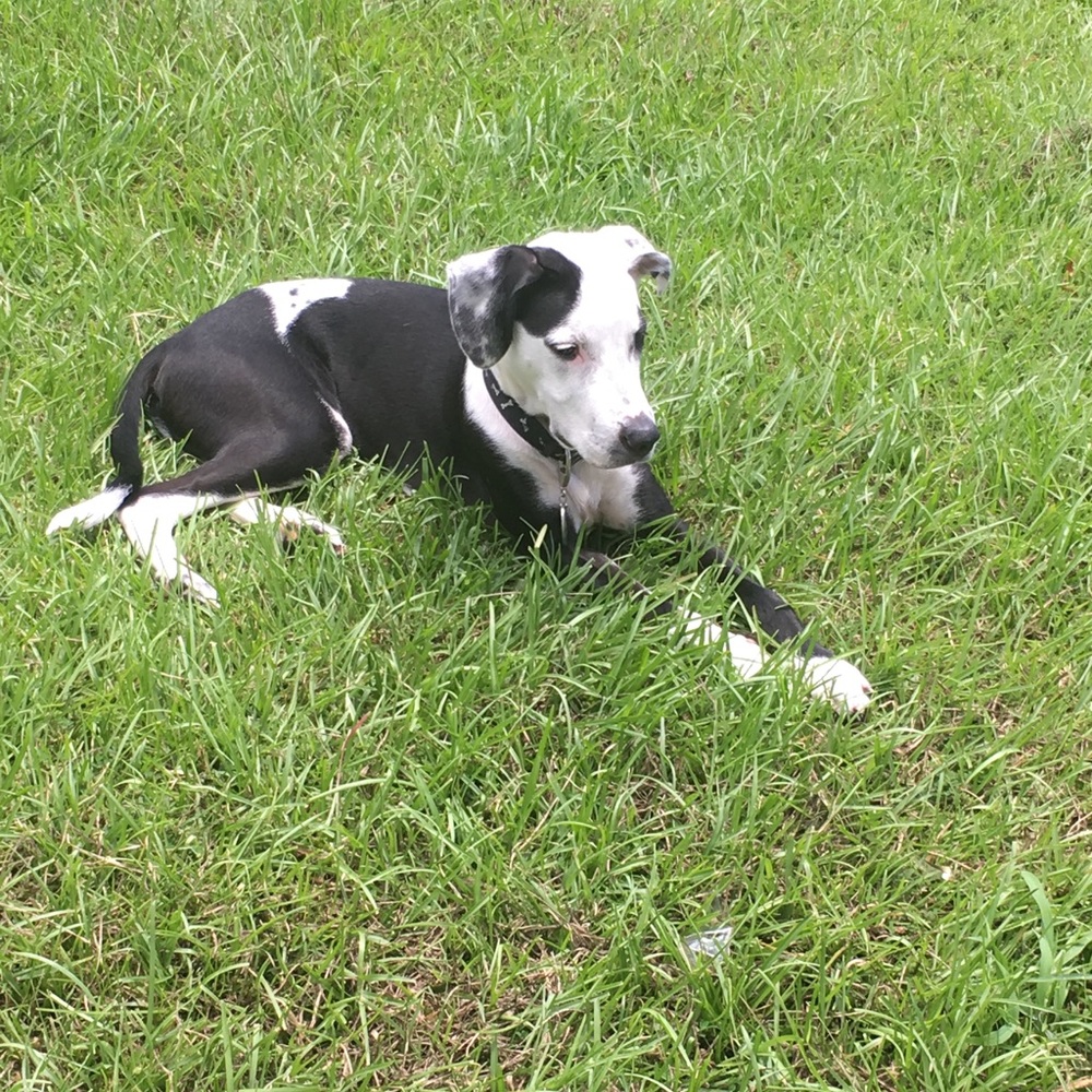 Meet your Posher, Imani